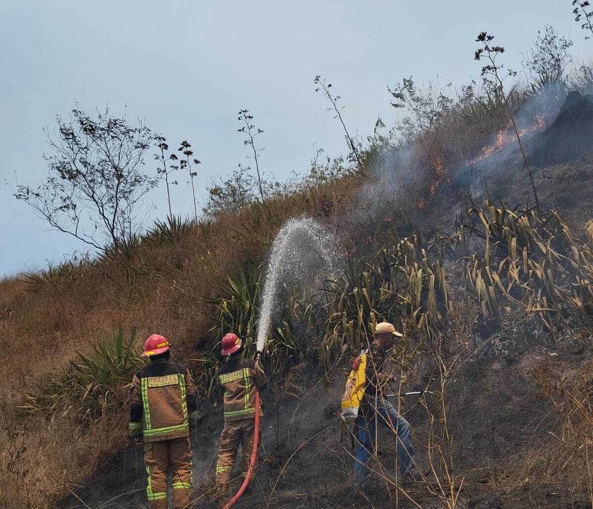 Lahan Ilalang Seluas 2 Hektar Terbakar di Gunung Guntur